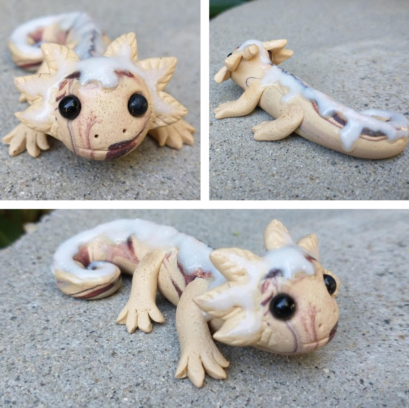 Axolotl